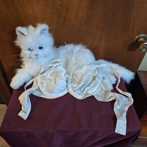 Elegant Cream Lace Bra